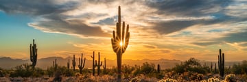 Scottsdale, AZ