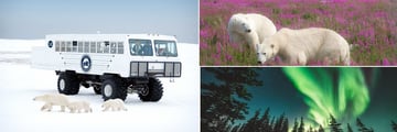 Churchill - Credit: Travel Manitoba