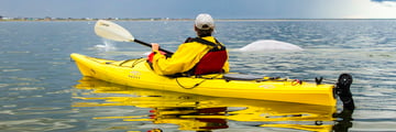 Kayaking with beluga whales - Credit: Travel Manitoba