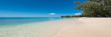 The beach at Coral Reef Club