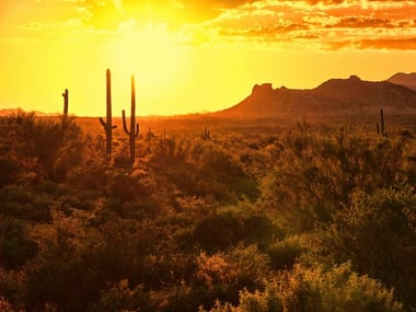 Scottsdale Desert, Arizona