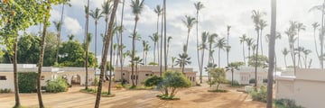 View of a hotel with palm trees