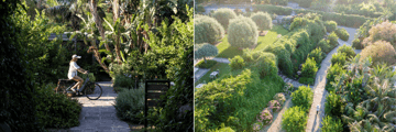 The gardens at the Donna Carmela Resort & Lodges