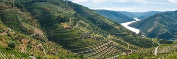Douro Valley