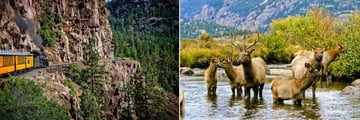 Durango and Silverton Narrow Gauge Train and Rocky Mountains Wildlife