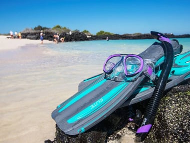 Snorkelling in Galapagos