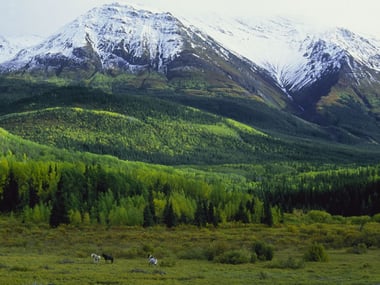Kamloops