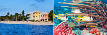 Colourful buildings of Grand Cayman, diving in Cozumel