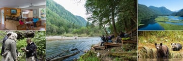Great Bear Lodge, Biologist Presentation, Autumn Platforms to Watch the Bears, Great Bear Rainforest, Grizzly Bear and Cub and Guided Walks