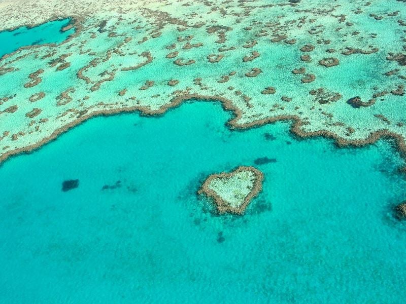 Heart Reef, Great Barrier Reef