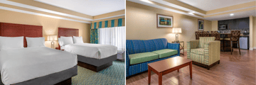 One Bedroom Suite