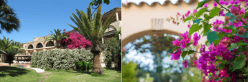 Hotel grounds