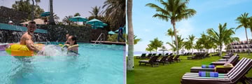 JA Palm Tree Court pool