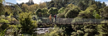 Karangahake Gorge