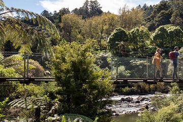 Karangahake Gorge