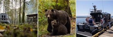 Klahoose Wilderness Resort: Wildlife Spotting