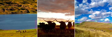 La Reata Ranch, Saskatchewan