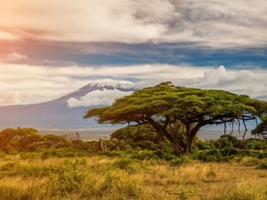 Mount Kilimanjaro, Kenya