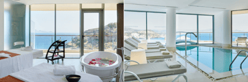 Spa & Wellness suite - private suite and indoor pool