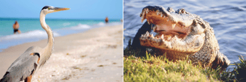 Meet the local residents