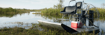 Take an exhilerating airboat ride on the nearby Everglades