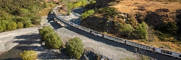 Journey through the breathtaking landscapes of New Zealand on the TranzAlpine train