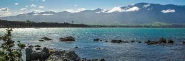 Kaikoura Coast