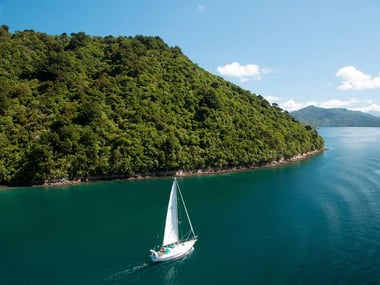 South Island Queen Charlotte