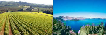 Oregon Vineyards and Views Over Crater Lake National Park