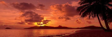 The beach at Palm Island Resort & Spa