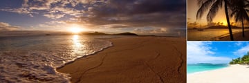 The beach at Palm Island Resort & Spa