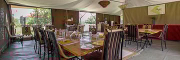 Immerse yourself in Africa's charm at the eco-friendly Porini Lion Camp