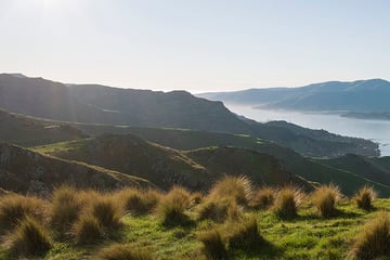 Cycling in Christchurch 