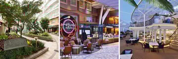 Royal Caribbean Oasis of the Seas Central Park, Starbuck Solariam, Bistro