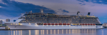 Celebrity Reflection