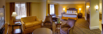 Junior Suite at the Rosen Plaza