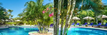 The pool at The Sandpiper