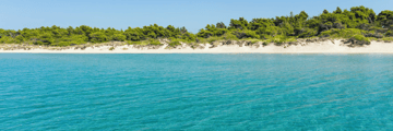Sani Beach