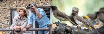 Bird watching at Sarova Lion Hill Game Lodge