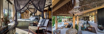 Thornybush Saseka Tented Camp 