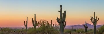 Scottsdale, AZ