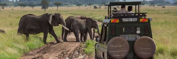 Game drives at Elewana Serengeti Pioneer Camp