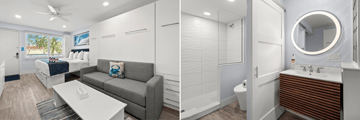 Sand Dollar Studio Suite