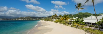 Beach with palm trees