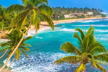 Beach in Sri Lanka framed by palm trees