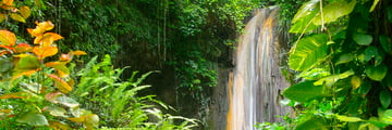 Diamond Falls, St Lucia