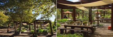 Gardens of Avila Restaurant, Sycamore Mineral Springs Resort and Spa