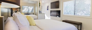 Spa Remodelled King Guestroom