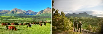 The beautiful views from Thanksgiving Ranch 