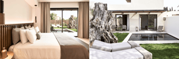 Premier Suite